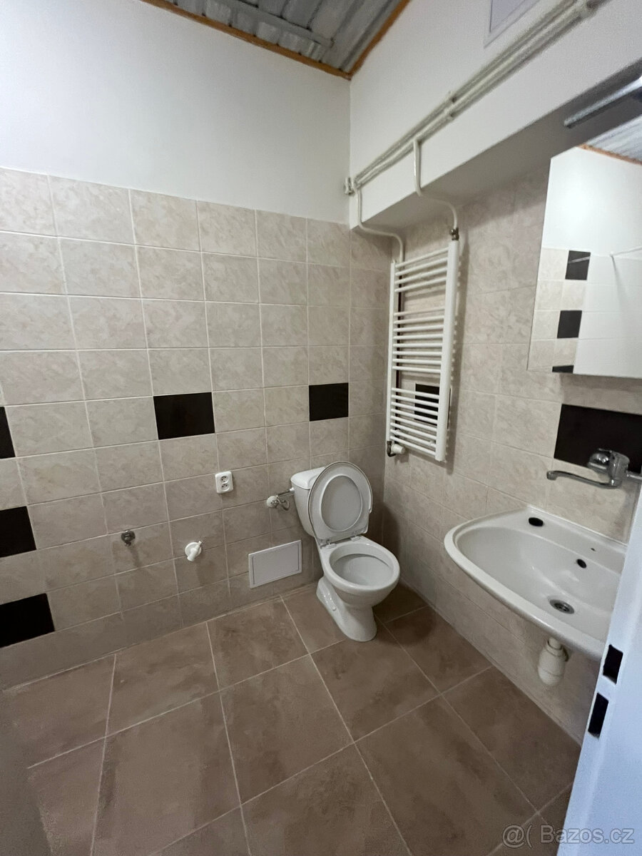Pronájem bytu 1+1, 30 m2 - 5