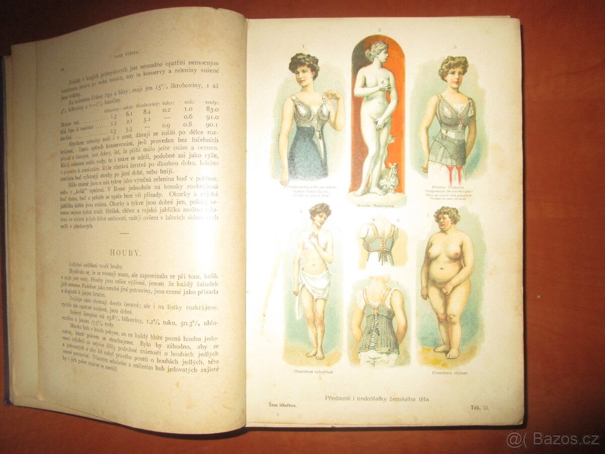 STAROŽITNÉ LÉKAŘSKÉ KNIHY - 5