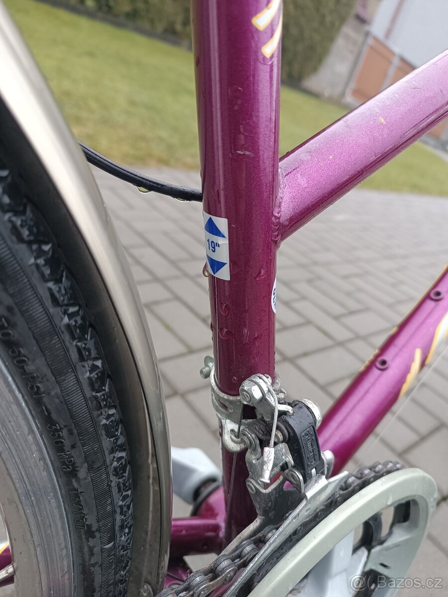 Dámské kolo 4ever 19° - 5