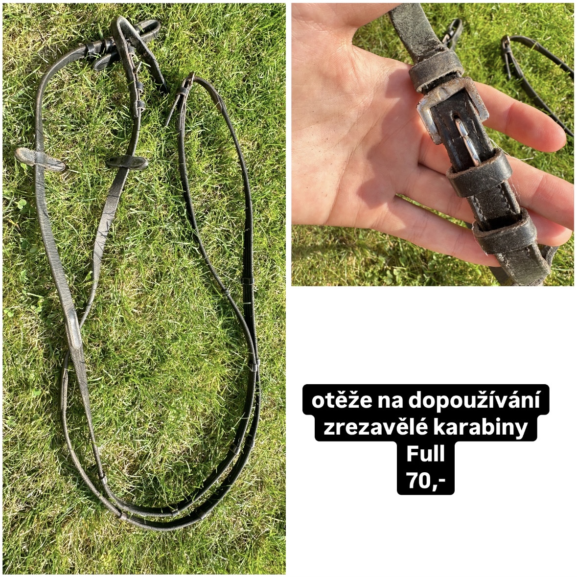 Prodám více věcí na koně - 5