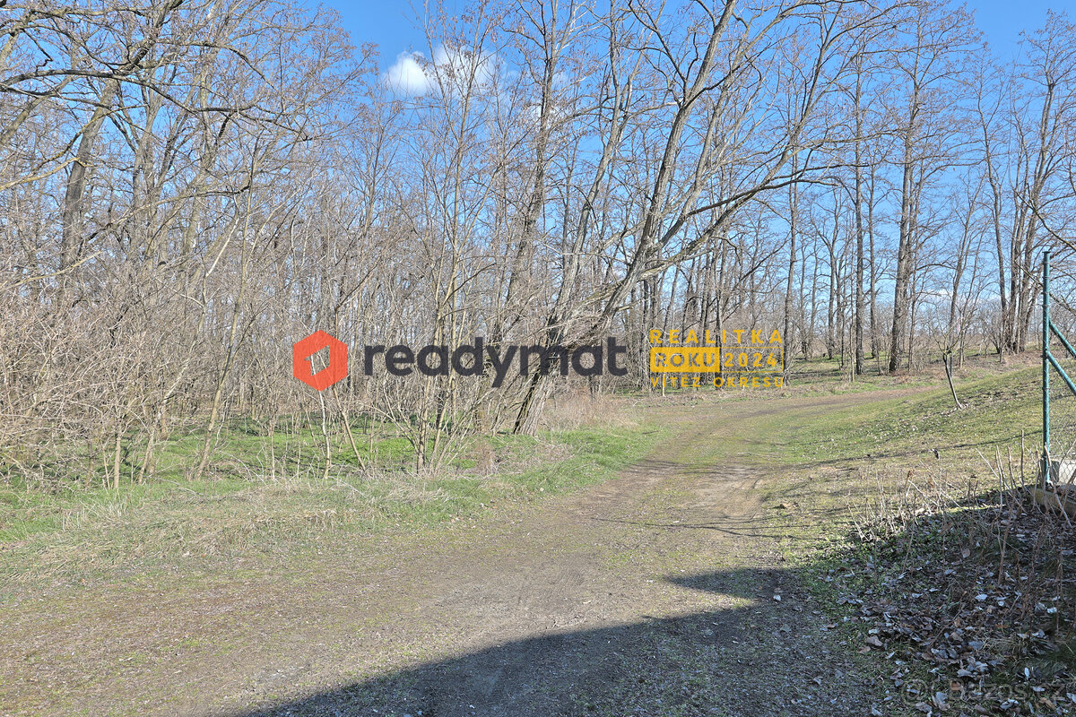 Prodej lesa, Dubňany, 5 323 m2 - 5