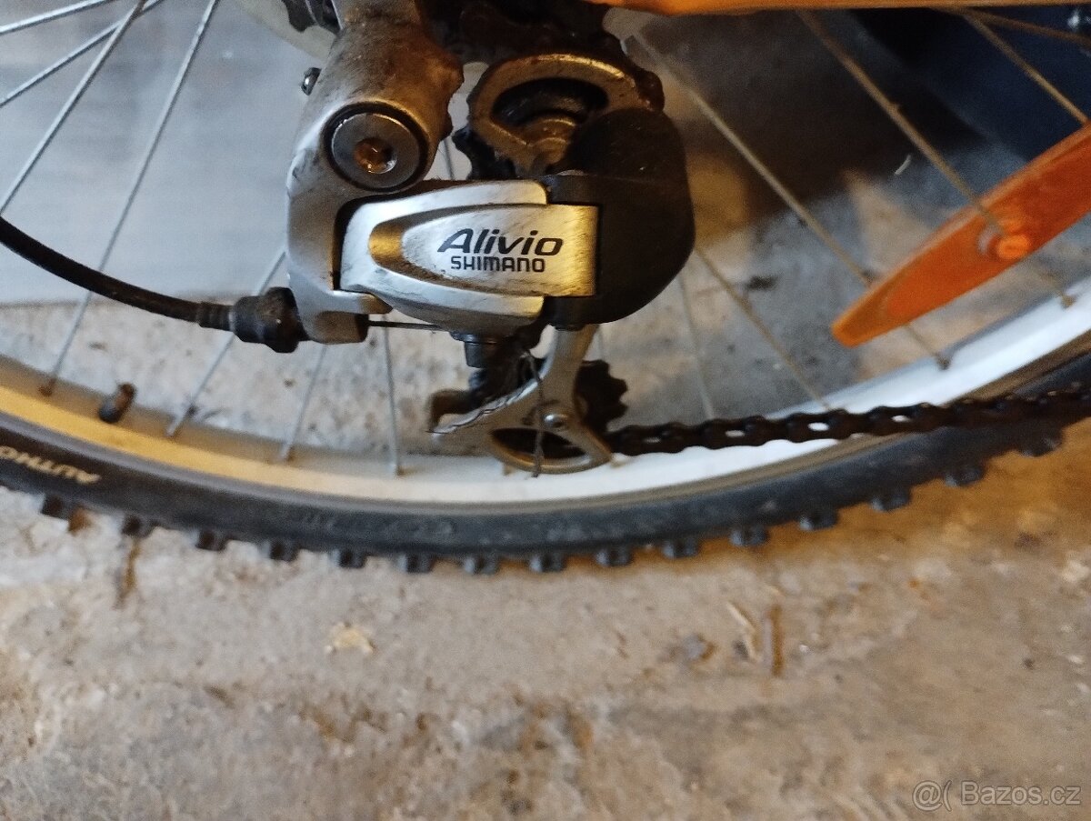 Kolo AUTHOR Basic SX - 5