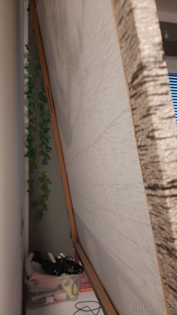 Obrazy na plátně Dětská kočka - 5