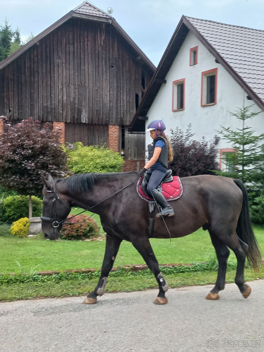 Pronájem bytu na farmě - 5