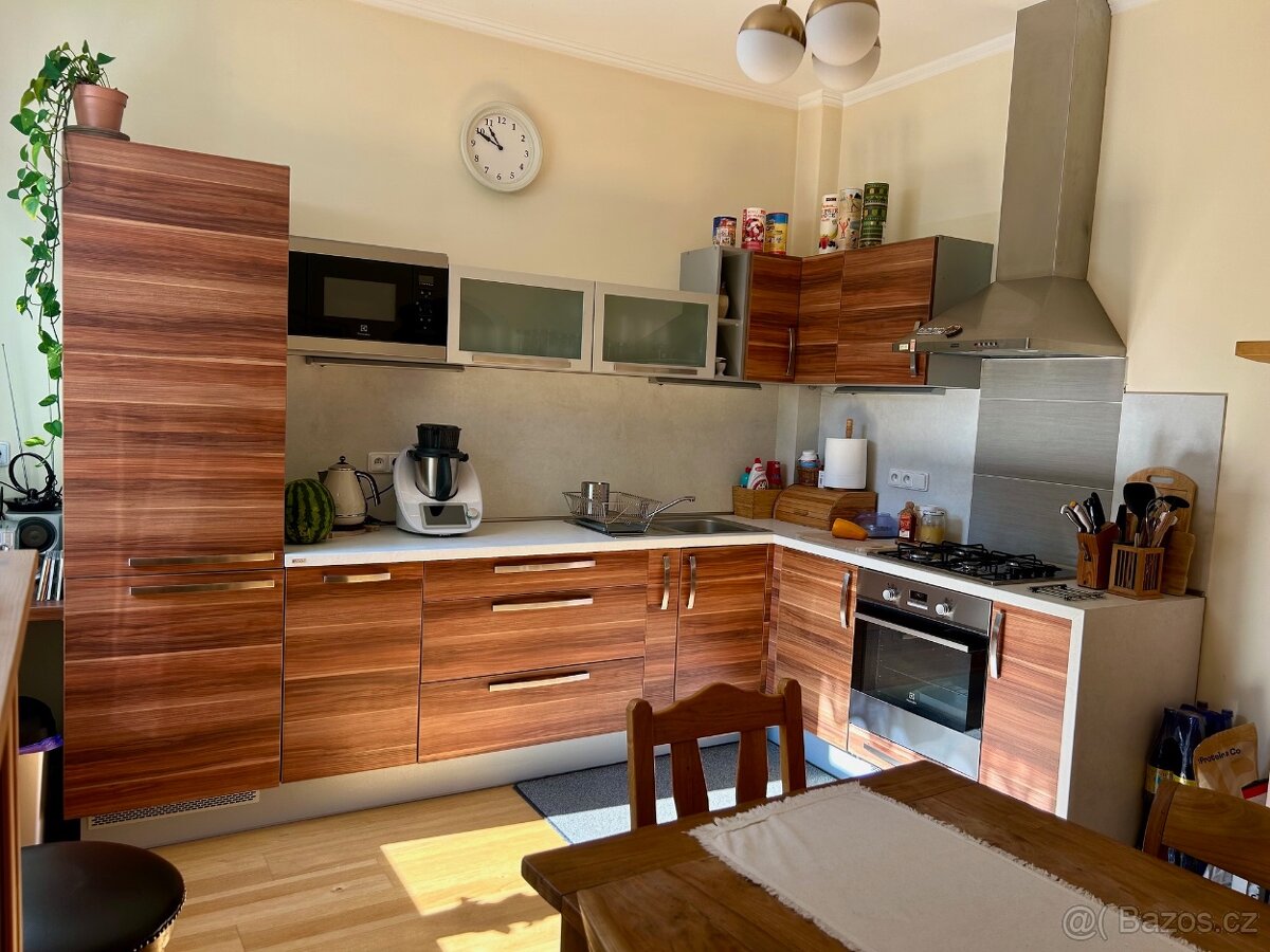 Pronájem luxusního bytu v OV v lázeňské části Teplic - 5