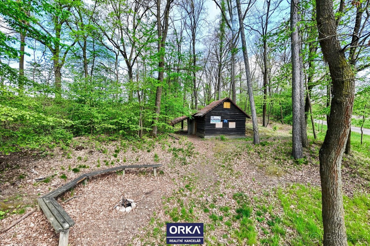 Prodej pozemku 880 m2 - Radotín u Lipníka nad Bečvou - 5