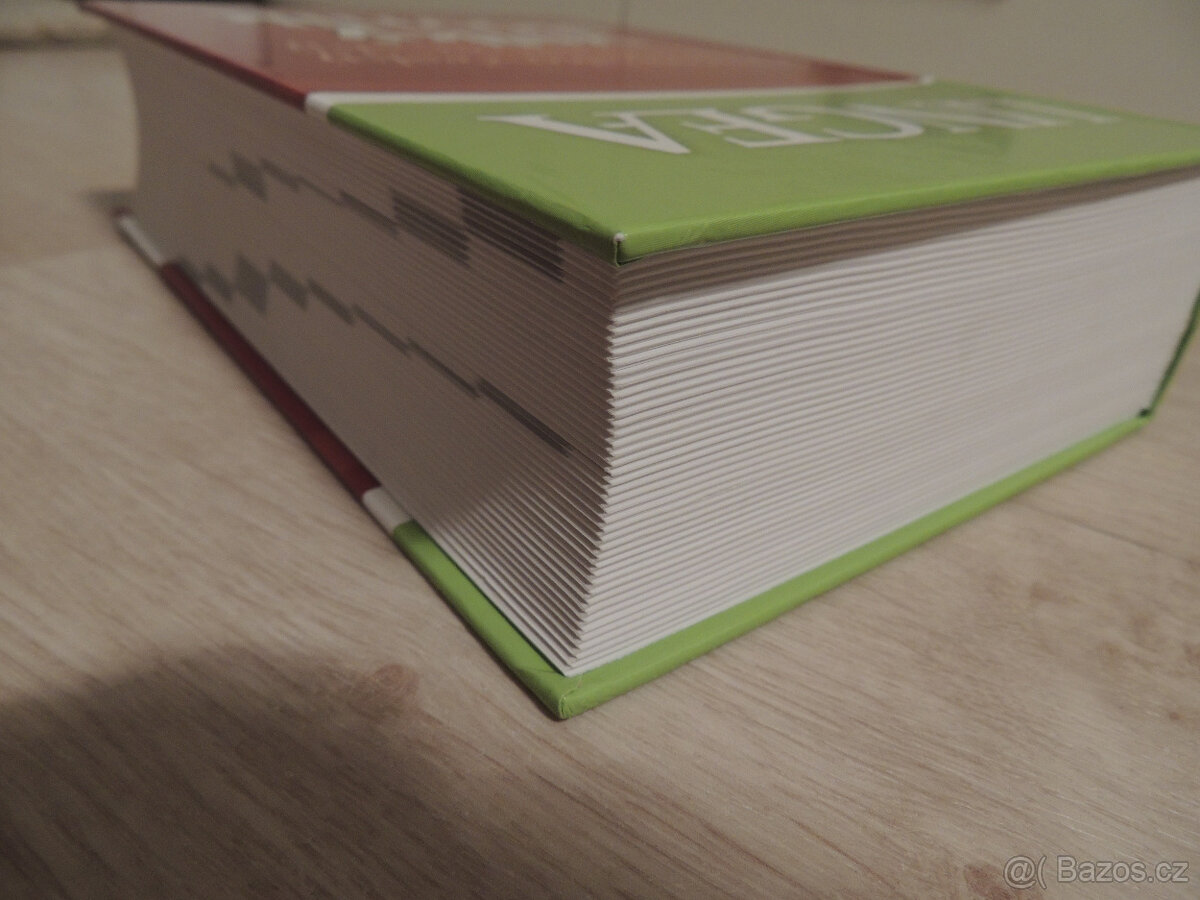 Velký francouzsko-český slovník Lingea - 5