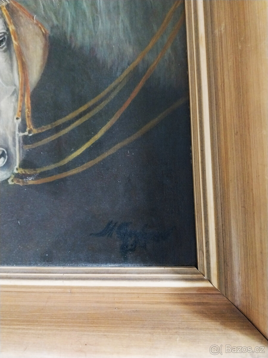 Olej na desce, hlava koně, 70tá léta - 5