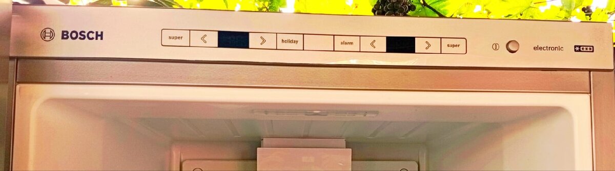 Lednice BOSCH - 5