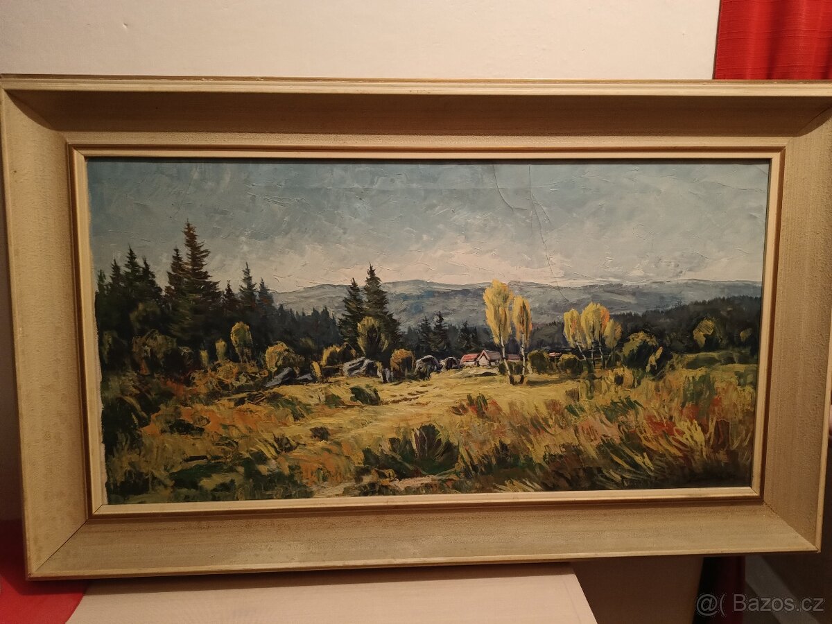 Obrazy Havlíčka Víta - 5