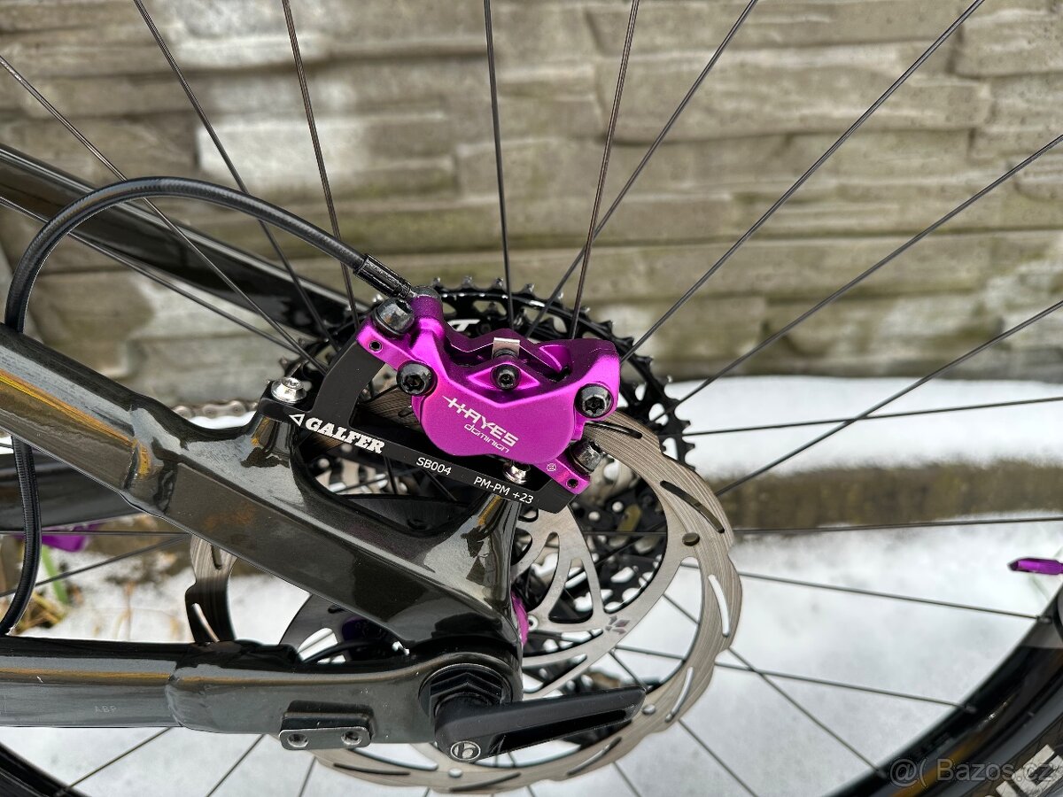 Trek Rail Carbon Gen 4 Custom vel. L (nájezd 570 km) - 5