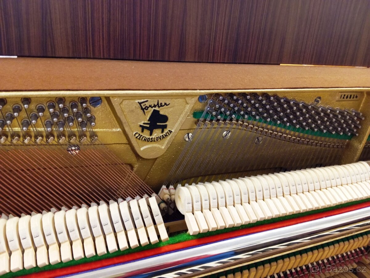 August Forster mod.105- Dovoz po ČR zdarma 24/7 - 5