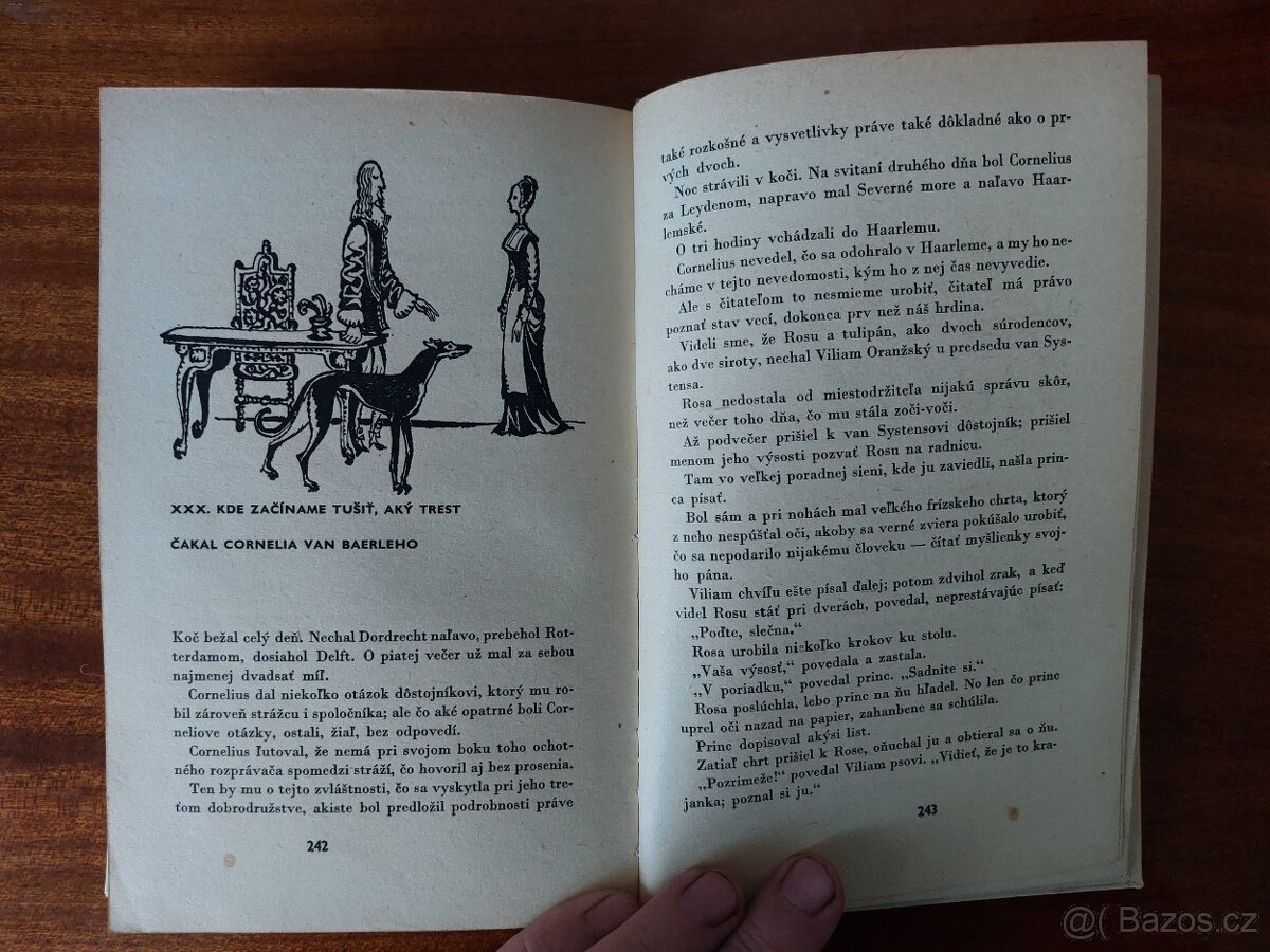 Čierny Tulipán - Alexandre Dumas - 5