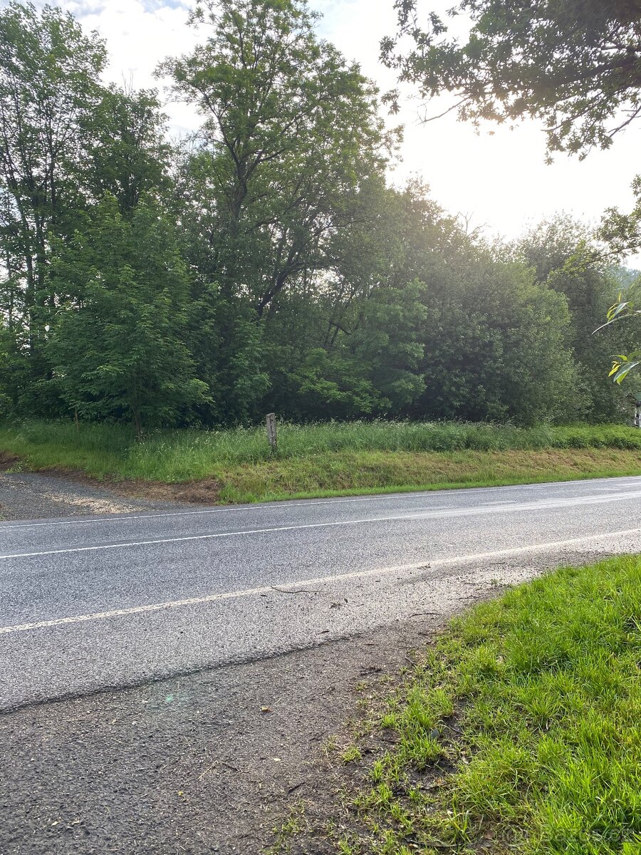 Prodáme stavební pozemky v části obce Slaná, Bořkov, Semily. - 5