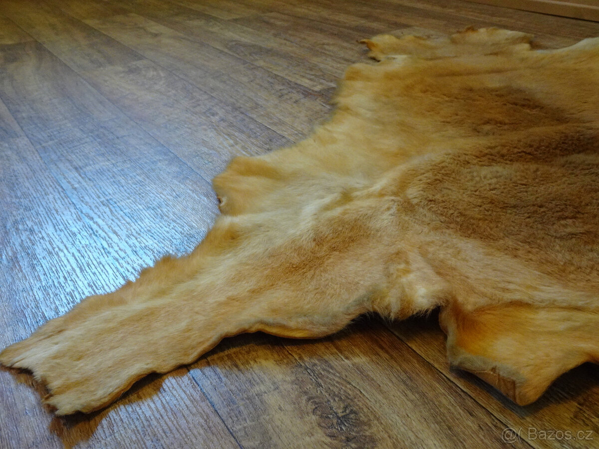 DEKORATIVNÍ LUXUSNÍ PRAVÁ KOŽEŠINA KLOKAN - AUSTRÁLIE - 5