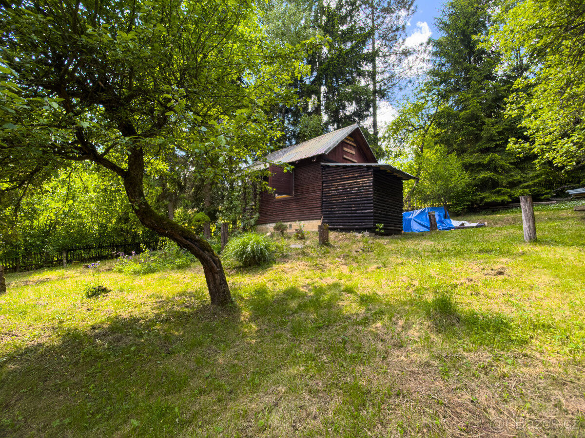 Prodej chaty na velmi klidném místě a bez sousedů - 5