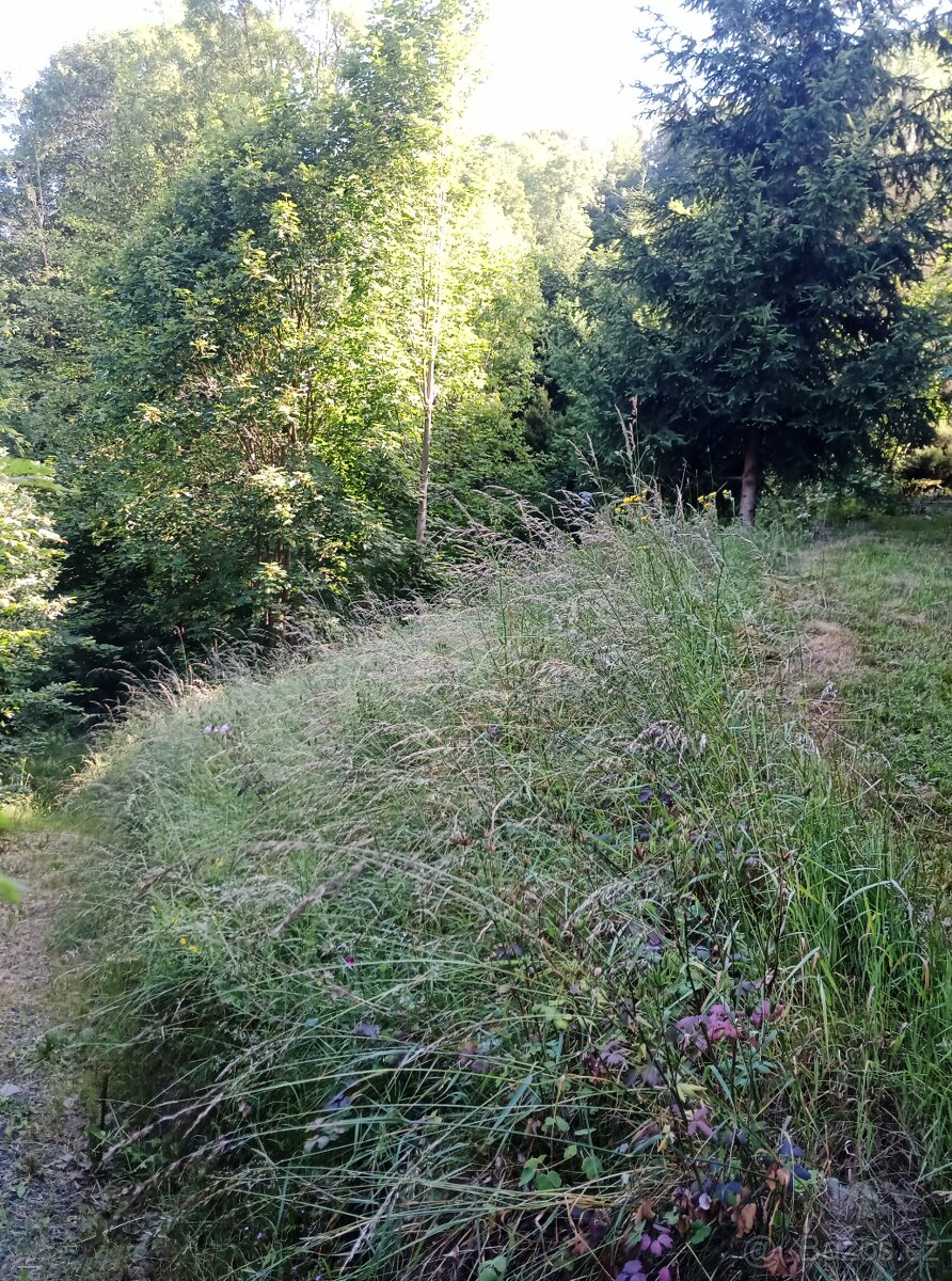 Údržba zahrad, lesů, domů i bytů - hodinový manžel - 5