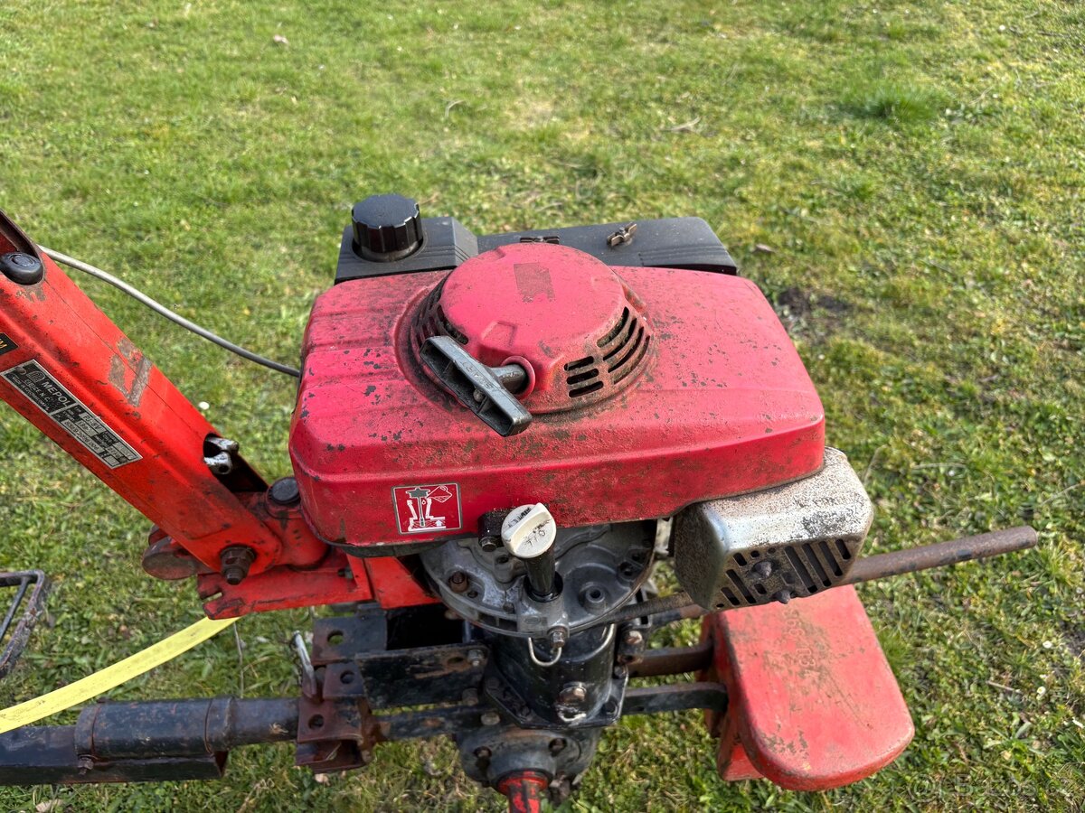 TERRA VARI motor Honda - 5