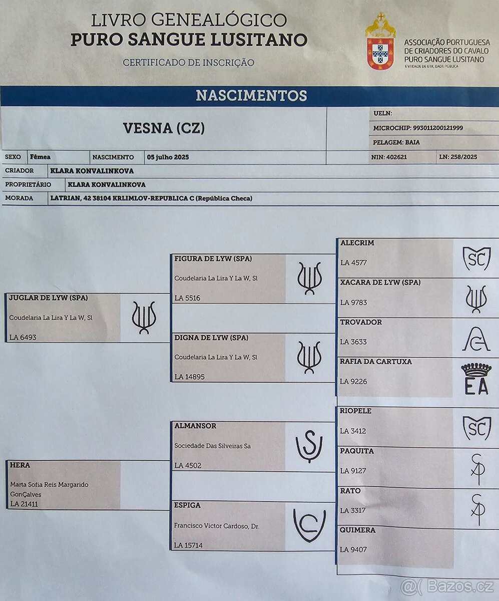 TOP klisnička PSL - 5