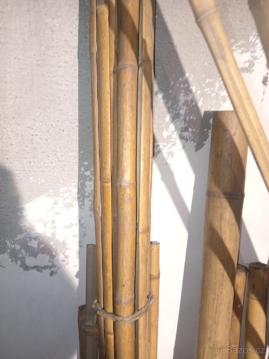 Bambus tyče mix, 1-3m, průměr 3-8cm - 5