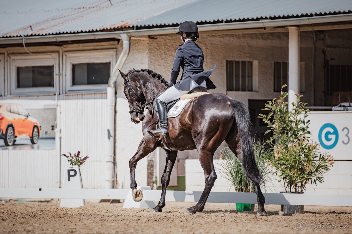 valach a1/1 do sportu/aktivni rekre - 5