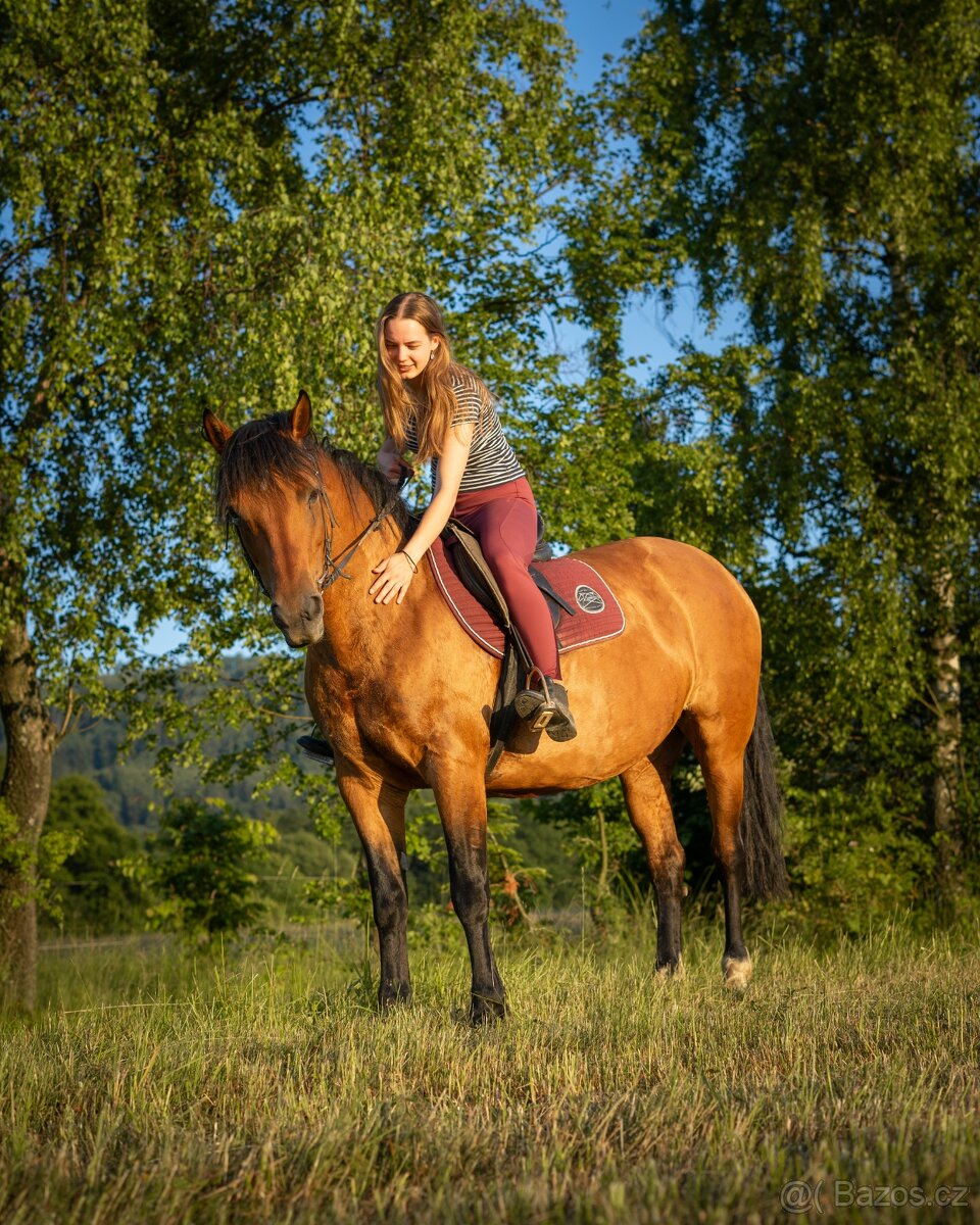 kobyla ČT/hucul - 5