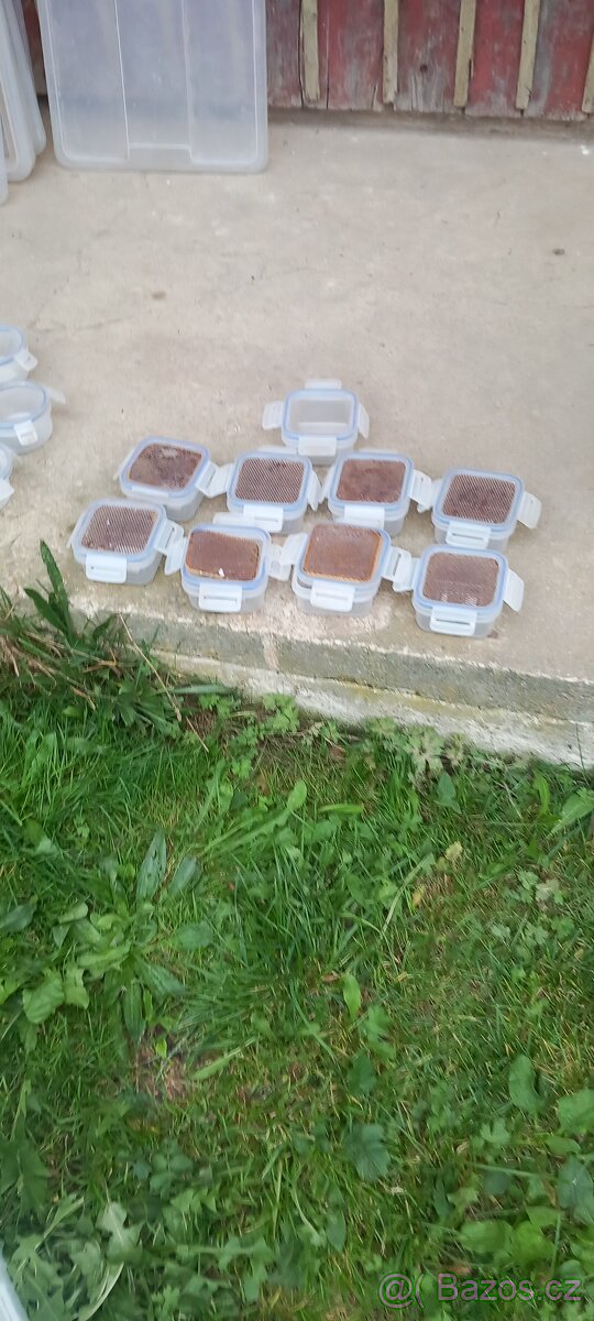 Plastové bedny s víkem - 5