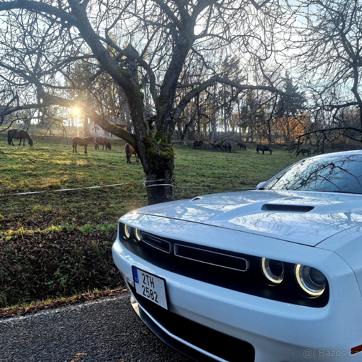 Dodge Challenger 3.6 - 5