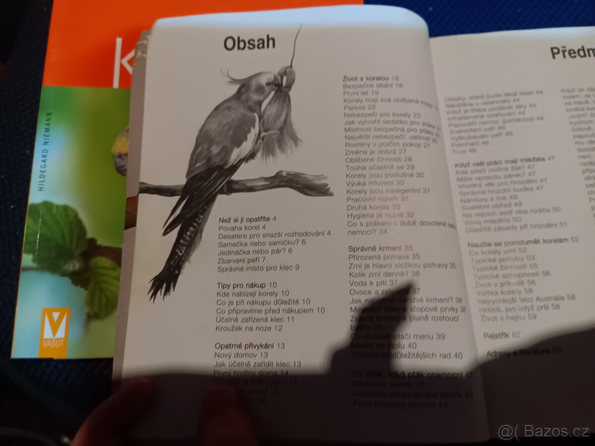 Korela cockatiel - 5