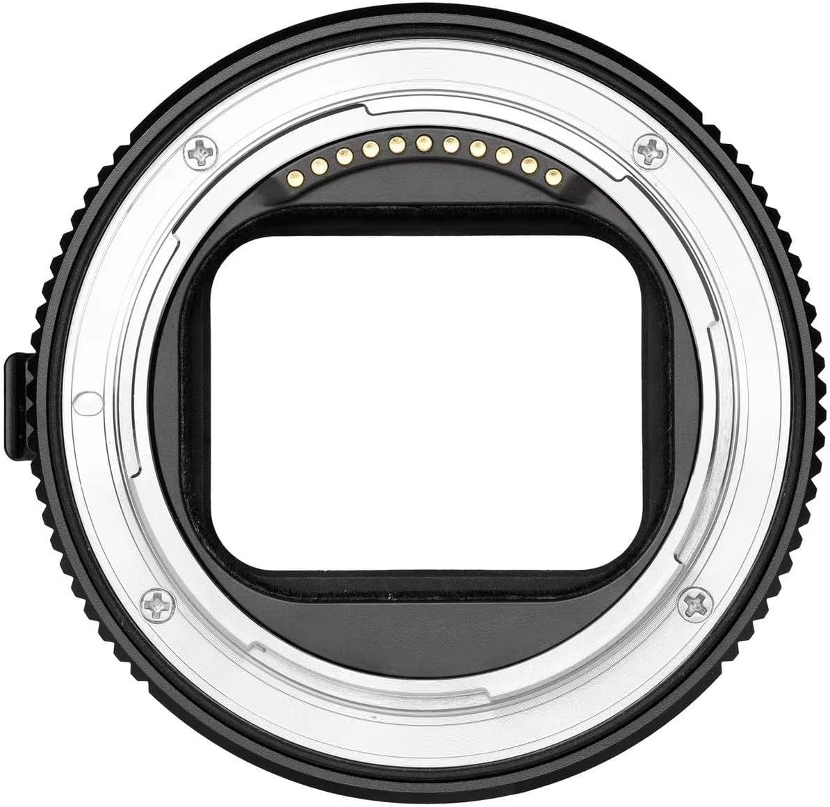 Fringer EF NZ ii - 5