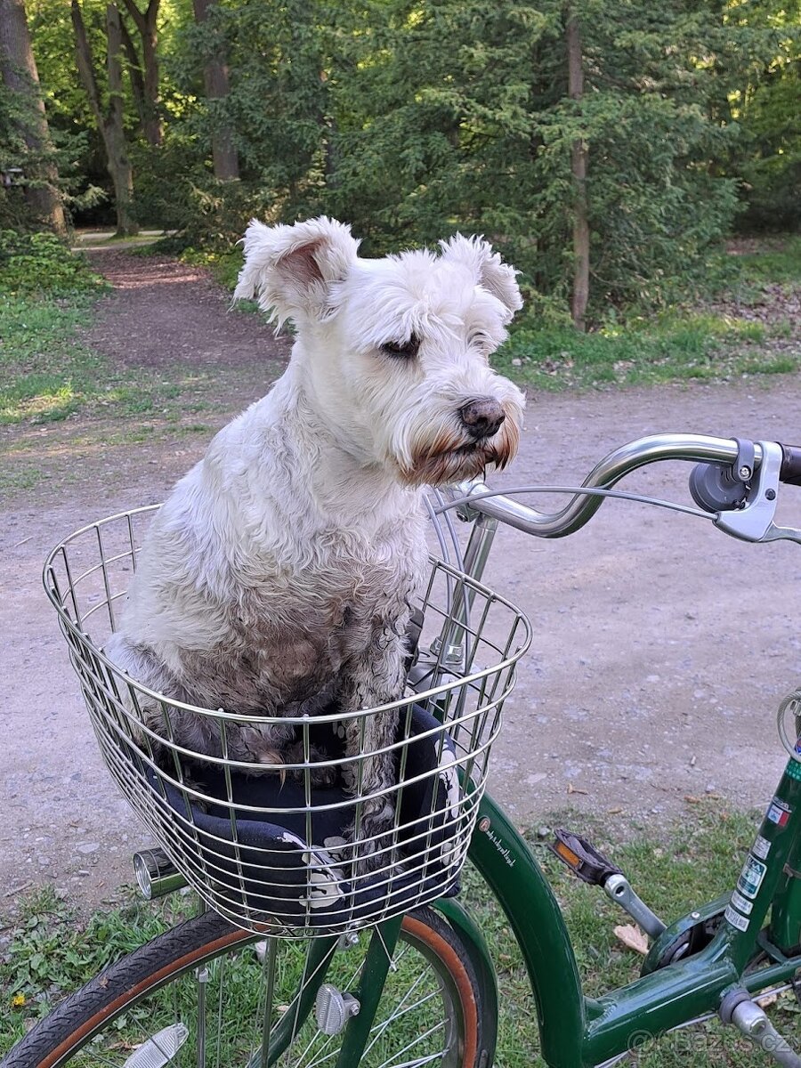 Dámské městské kolo - 5