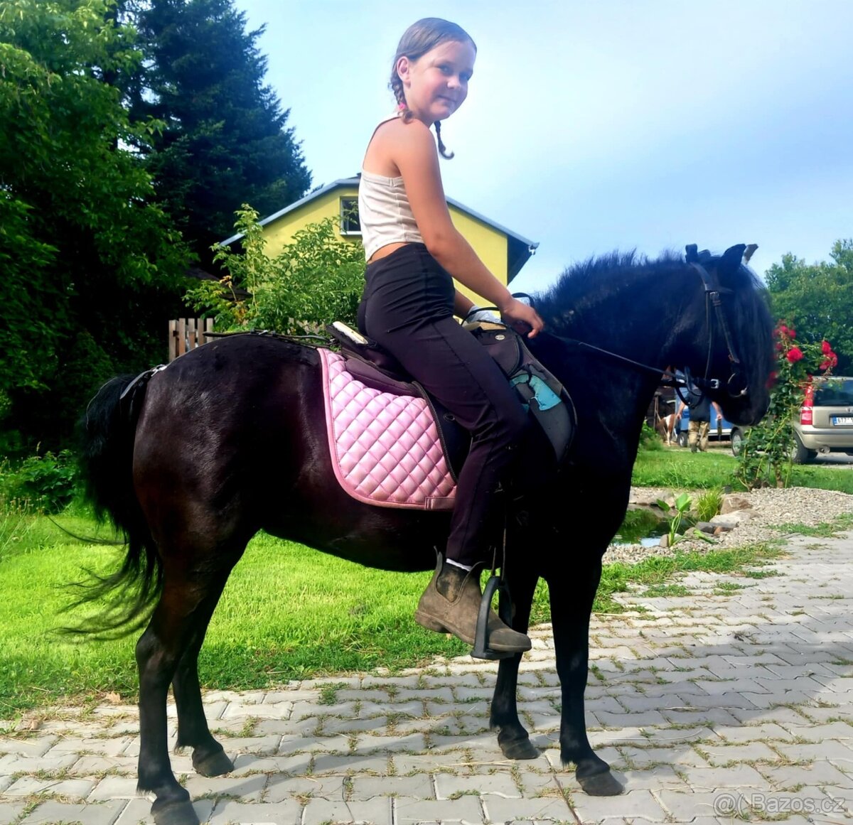 Černá kobylka pony - 5