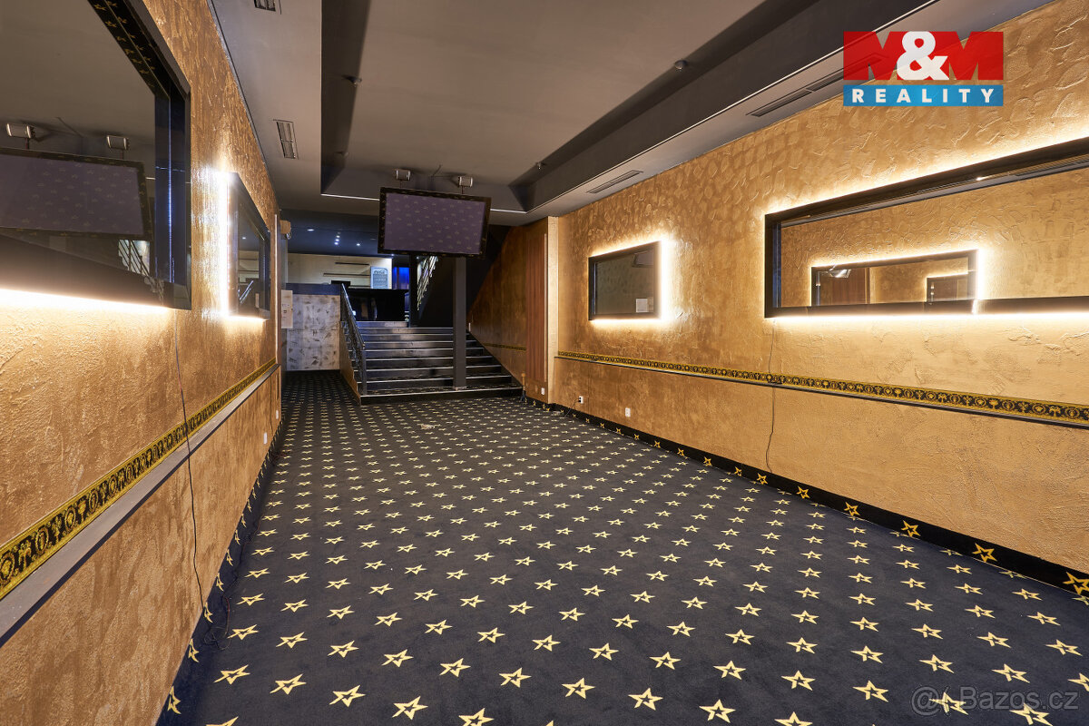 Pronájem obchod a služby, 205 m², Uherský Brod, ul. Moravská - 5