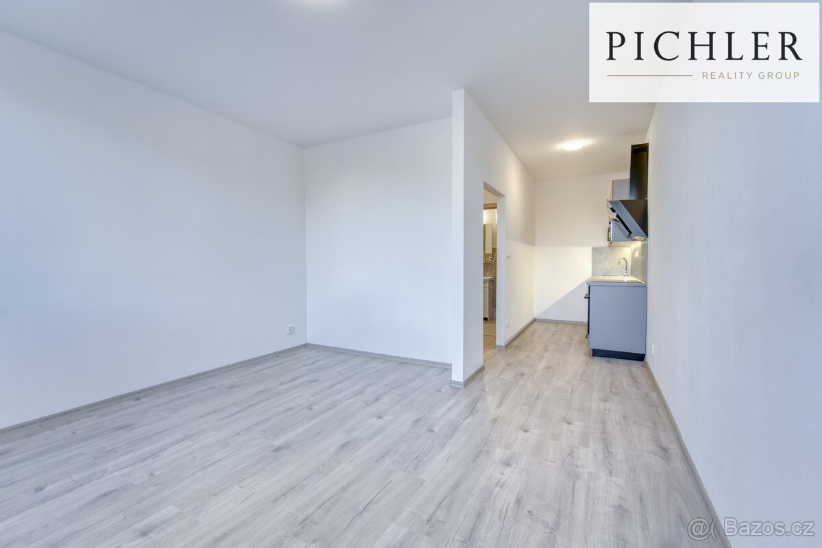 Pronájem bytu 1+KK, Chotěšov - 5