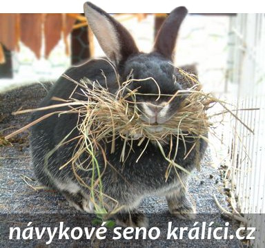 Seno/sláma letošní - čisté, voňavé - v pytlích -Ml. Boleslav - 5