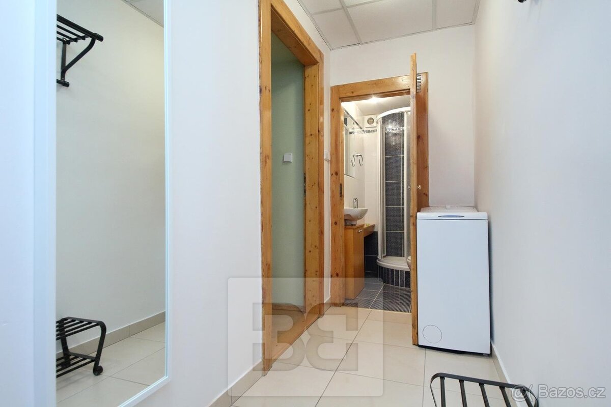 Zařízený 1+kk 27m2 v Nuslích, ev.č. N08007 - 5