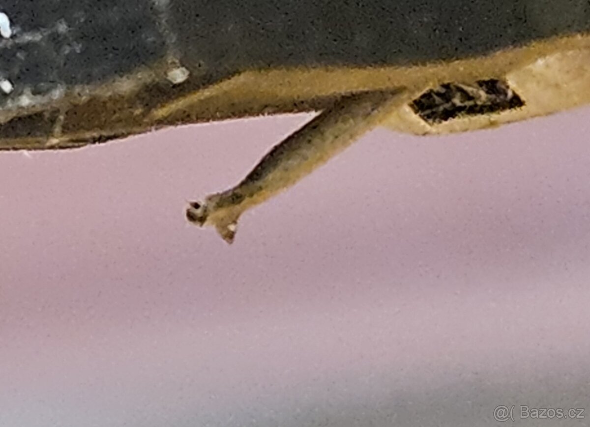 TESLA NC 450 HiFi gramofon - 5