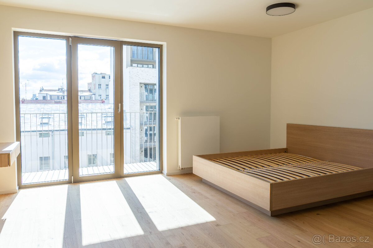 Pronájem bytu 1+kk 42 m² Bratislavská, Brno - Zábrdovice - 5