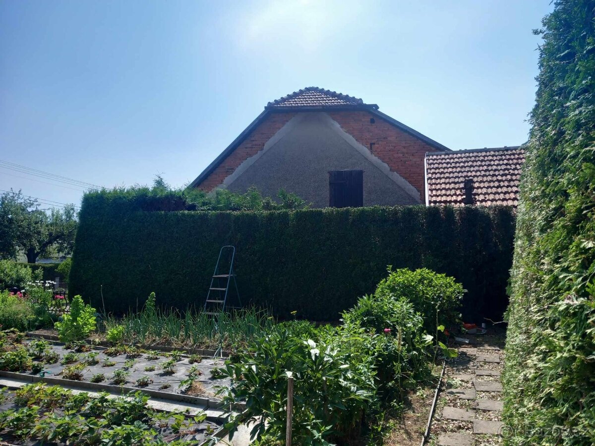 Zahradnické práce, úpravy a revitalizace zahrad - 5