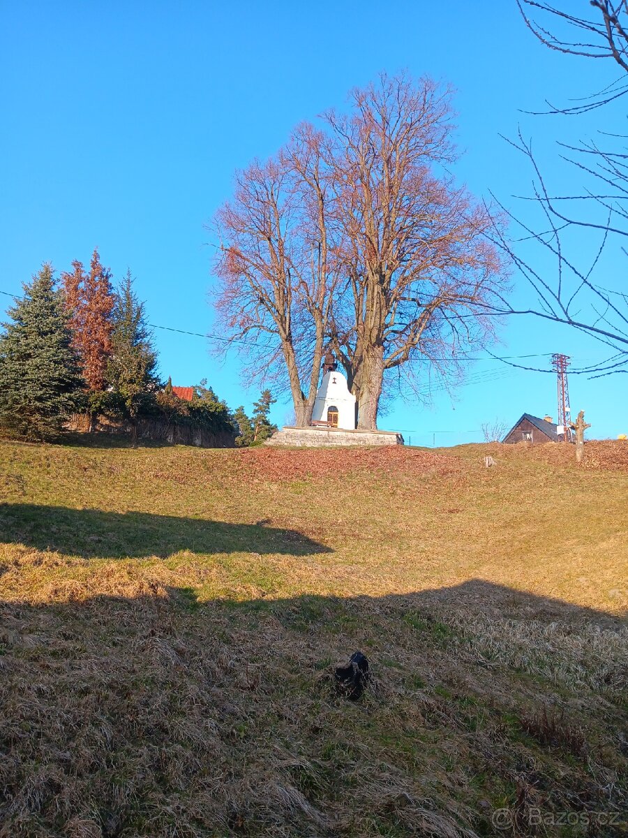 Chaloupka v Českém ráji-levně - 5