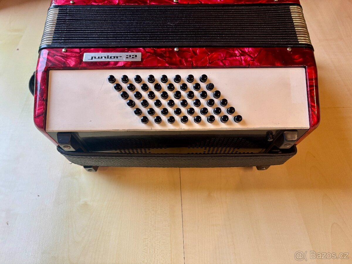 Delicia Junior 22 - 5