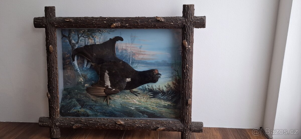 Půlvycpavky ptáků -ptaci v obrazech - 5