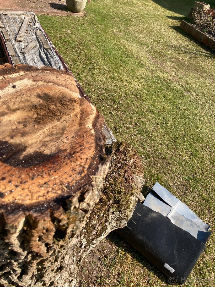 Kmeny ořechu - ořechové dřevo - 5