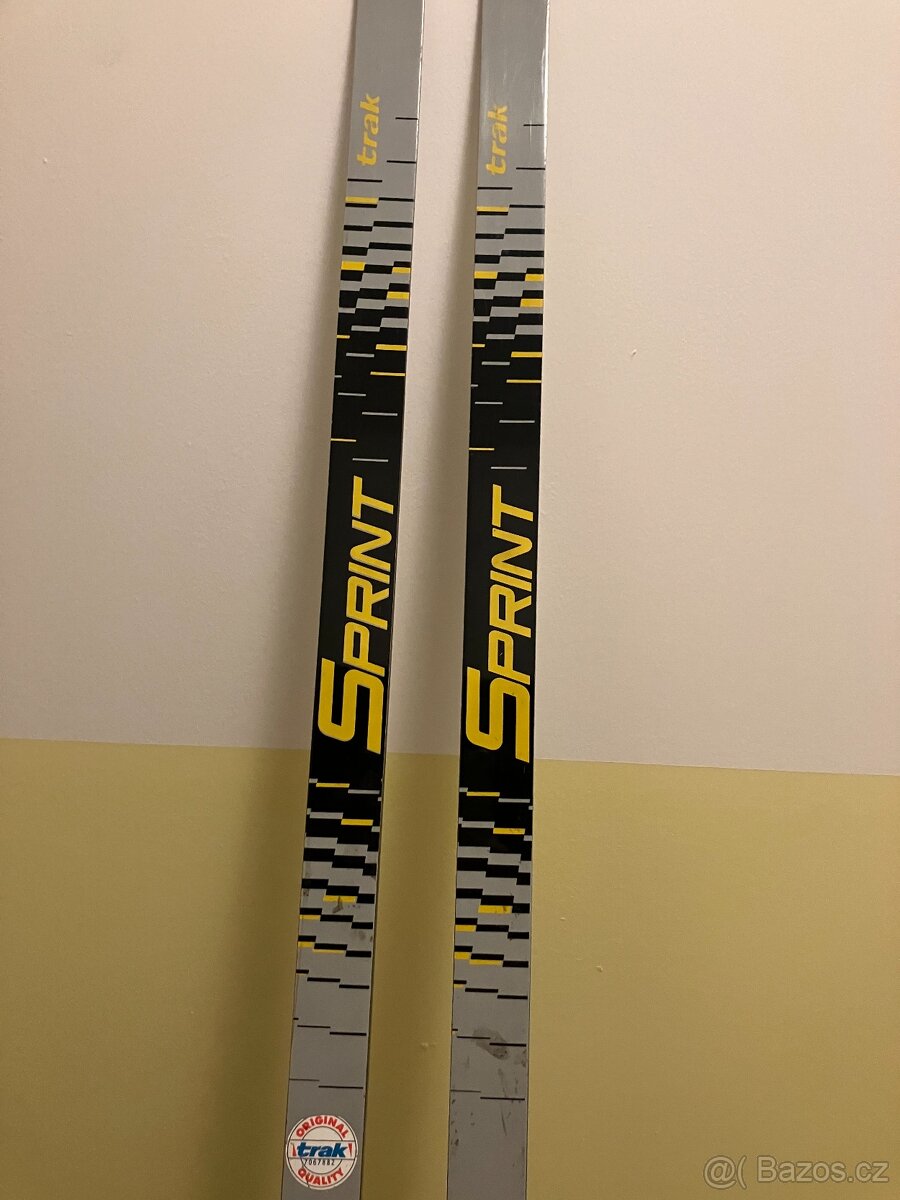 Běžky skluznice šupina - 5