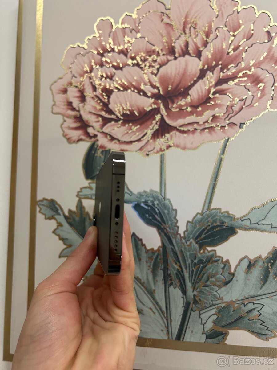 IPhone 12 Pro (128gb) - 5