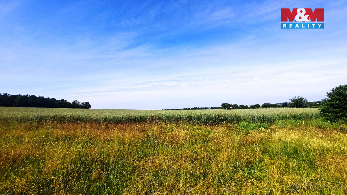 Prodej pole, 31465 m², Měnín - 5