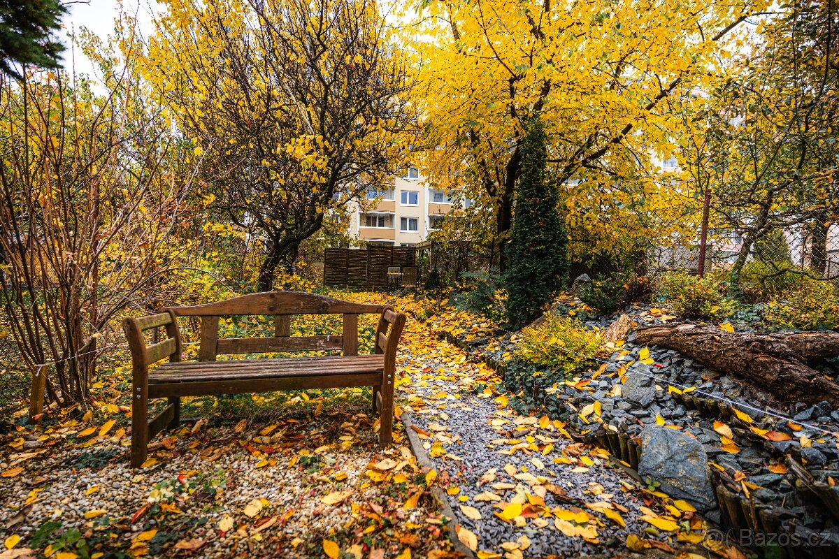 Komerční prostor 45m2 se zahrádkou, Brno-Královo Pole - 5