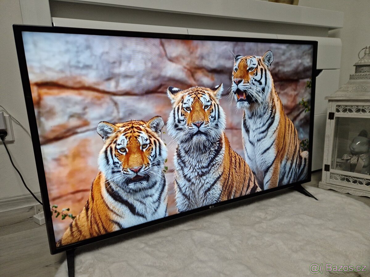 Smart Televize LG 49LJ594V - 5