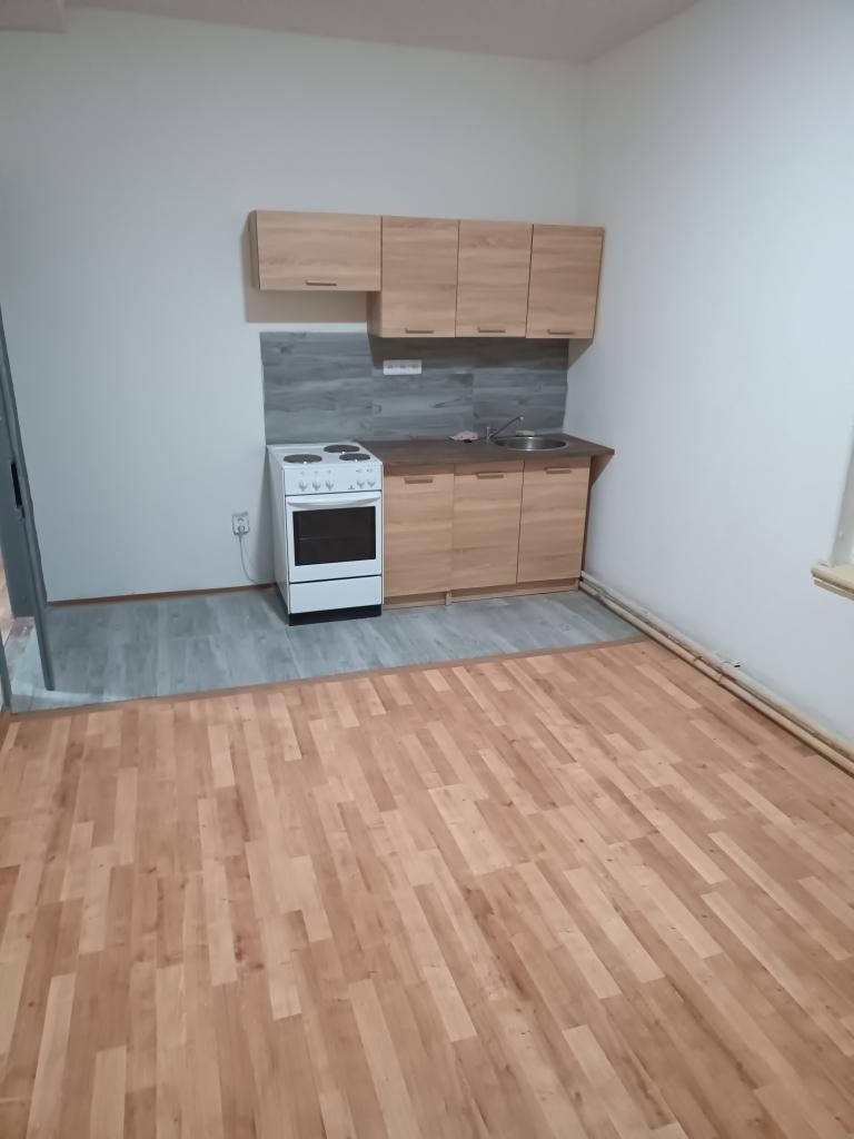 Pronajmu garsonku v Aši - 5