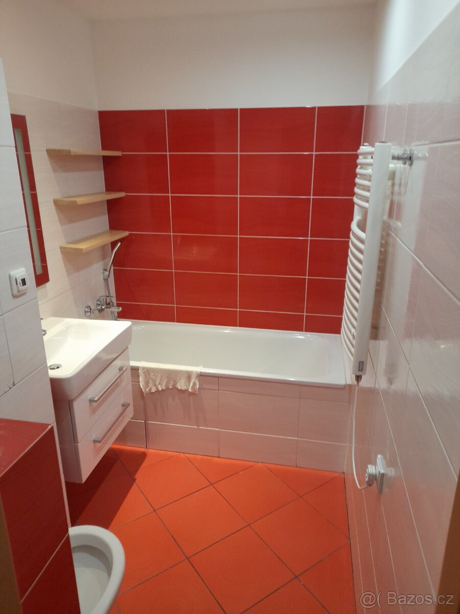 Pronajmu byt 2+1 Valašské Klobouky, pronájem 2+1 - 5